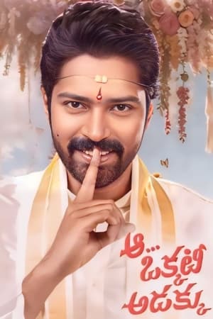 Aa Okkati Adakku 2024 Telugu CAMRip | Hindi Full Movie