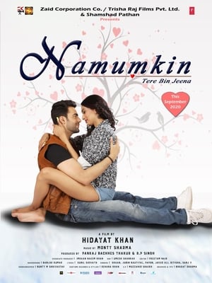Namumkin Tere Bin Jeena 2020 Movie | Hindi Full Movie HDRip x264 [740MB]
