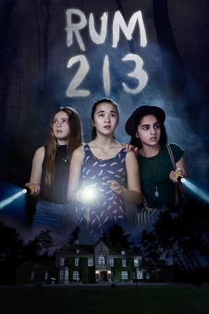 Rum 213 2017 Dual Audio | Hindi Full Movie BluRay [800MB]